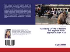 Assessing Efforts to restore the Bagmati River: Bagmati Action Plan kitap kapağı