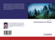 Portada del libro de Environment at a Glance