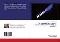 Energetically secure and sustainable restructuring of industry的封面