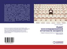 Capa do livro de Аудит консолидированной отчетности холдинга 