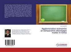 Portada del libro de Agglomeration economies or comparative advantages matter in China