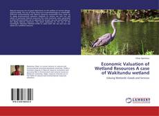 Couverture de Economic Valuation of Wetland Resources A case of Wakitundu wetland