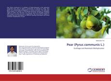 Buchcover von Pear (Pyrus communis L.)