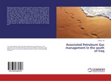 Capa do livro de Associated Petroleum Gas management in the south of Iraq 