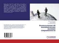Размышления об экономических вызовах современности的封面