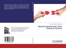 Dynamic Assessment: From Theory to Practice的封面