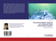 Обложка Parametric Robust Control of a Class of Finite Dimensional System