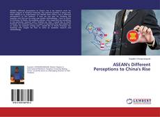 ASEAN's Different Perceptions to China's Rise的封面