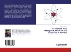 Incoherent Pion Photoproduction on the Deuteron: A Review的封面