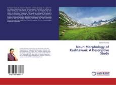 Noun Morphology of Kashtawari: A Descriptive Study的封面