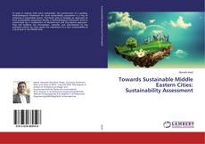Обложка Towards Sustainable Middle Eastern Cities: Sustainability Assessment