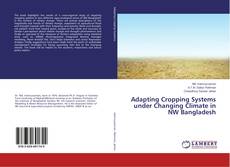Adapting Cropping Systems under Changing Climate in NW Bangladesh的封面