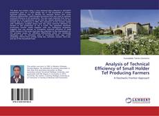 Couverture de Analysis of Technical Efficiency of Small Holder Tef Producing Farmers