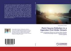Buchcover von Point Source Pollution in a Ugandan First Order Stream