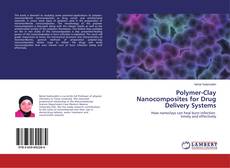 Copertina di Polymer-Clay Nanocomposites for Drug Delivery Systems