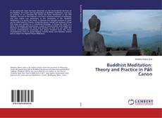 Buddhist Meditation: Theory and Practice in Pāli Canon的封面