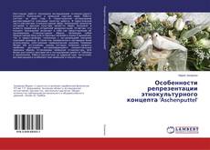Couverture de Особенности репрезентации этнокультурного концепта 'Aschenputtel'