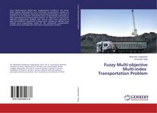 Copertina di Fuzzy Multi-objective Multi-index Transportation Problem