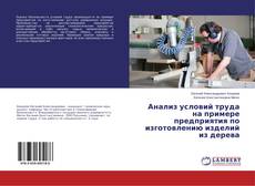 Buchcover von Анализ условий труда на примере предприятия по изготовлению изделий из дерева