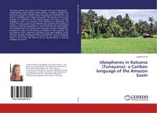 Borítókép a  Ideophones in Katuena (Tunayana): a Cariban language of the Amazon basin - hoz