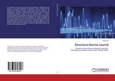 Buchcover von Structure-borne sound