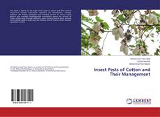 Buchcover von Insect Pests of Cotton and Their Management