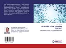 Extended Finite Element Method的封面