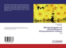 Buchcover von Micropropagation of Chrysanthemum (Chrysanthemum Indicum L.)