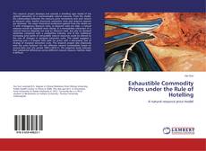 Buchcover von Exhaustible Commodity Prices under the Rule of Hotelling