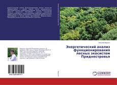 Buchcover von Энергетический анализ функционирования лесных экосистем Приднестровья