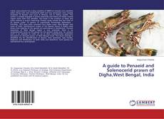 Copertina di A guide to Penaeid and Solenocerid prawn of Digha,West Bengal, India