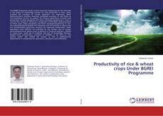 Couverture de Productivity of rice & wheat crops Under BGREI Programme