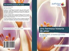 Bookcover of Una hermosa historia de amor