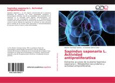 Bookcover of Sapindus saponaria L. Actividad antiproliferativa