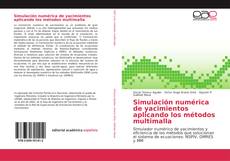 Simulación numérica de yacimientos aplicando los métodos multimalla kitap kapağı