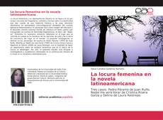 La locura femenina en la novela latinoamericana的封面