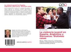 Portada del libro de La violencia juvenil en España, Argentina y Marruecos. Distintos casos