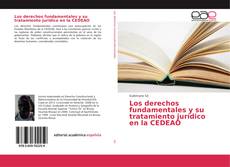 Обложка Los derechos fundamentales y su tratamiento jurídico en la CEDEAO