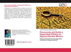 Couverture de Prevención del Delito y Seguridad Pública en Aguascalientes Mexico