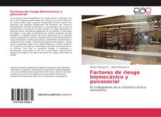 Bookcover of Factores de riesgo biomecánico y psicosocial