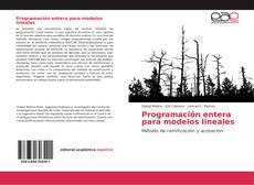 Bookcover of Programación entera para modelos lineales
