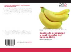 Costos de producción y post cosecha del banano Orito kitap kapağı