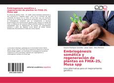 Embriogénesis somática y regeneración de plantas en FHIA–25, Musa spp kitap kapağı