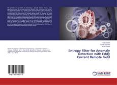 Buchcover von Entropy Filter for Anomaly Detection with Eddy Current Remote Field