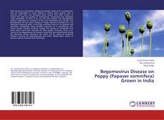 Bookcover of Begomovirus Disease on Poppy (Papaver somnifera) Grown in India
