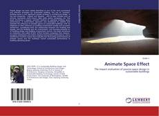 Buchcover von Animate Space Effect