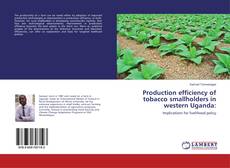 Couverture de Production efficiency of tobacco smallholders in western Uganda: