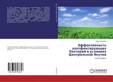 Bookcover of Эффективность азотфиксирующих бактерий в условиях Центральной Якутии