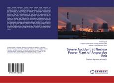 Bookcover of Severe Accident at Nuclear Power Plant of Angra dos Reis