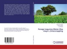 Borítókép a  Forage Legumes-Maize (Zea mays L.)Intercropping - hoz